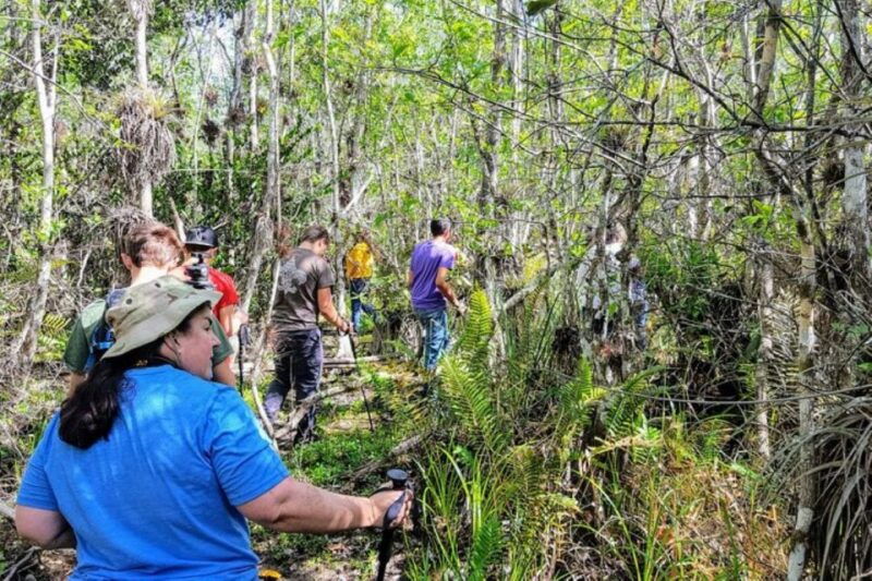 miami-everglades-national-park-hiking-and-kayaking-day-trip