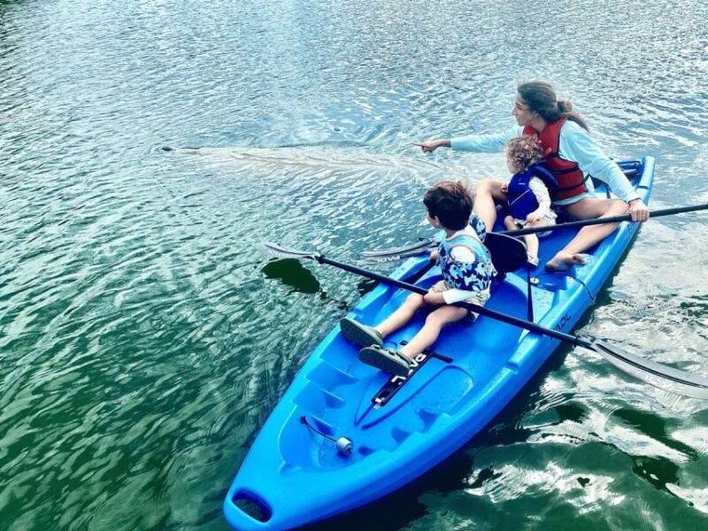 miami-manatee-season-paddleboard-or-kayak-tour
