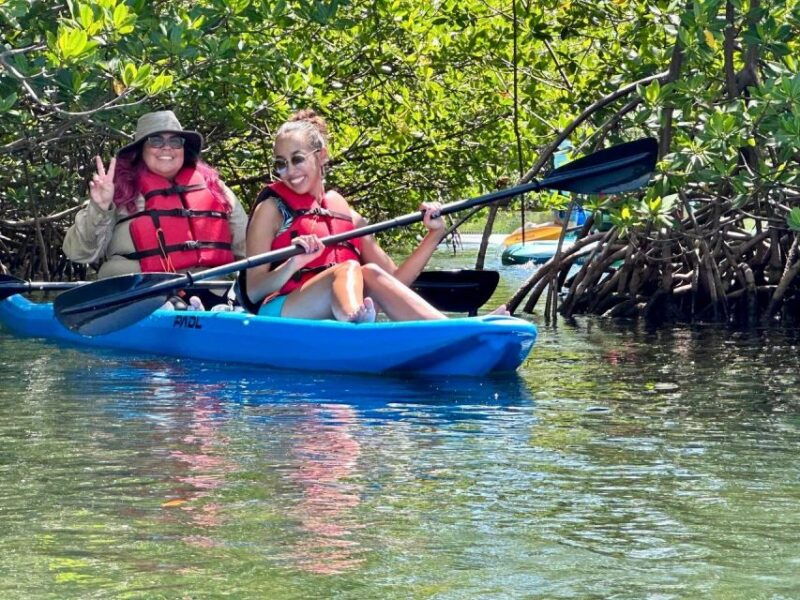 miami-paddle-board-or-kayak-rental-in-virginia-key