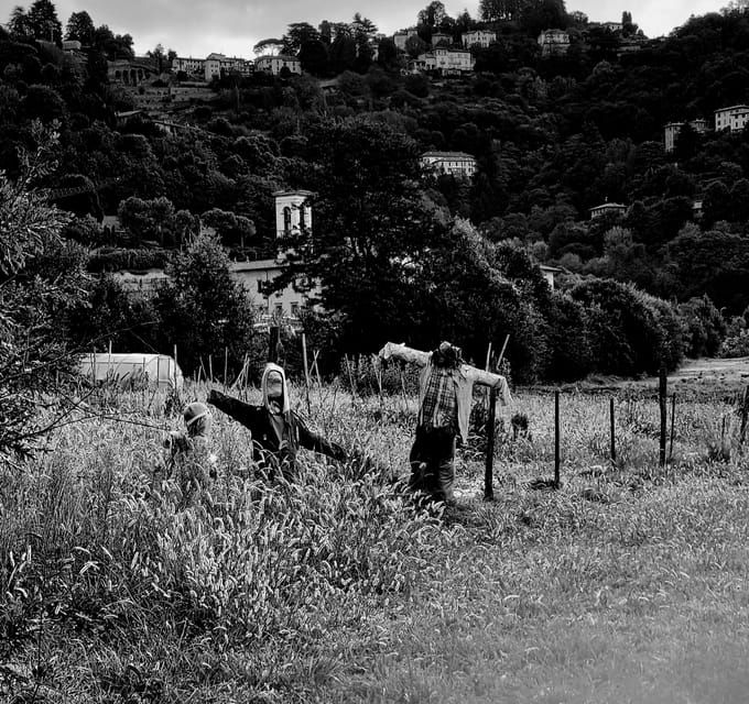 milan-bergamo-high-town-and-wine-tasting-tour