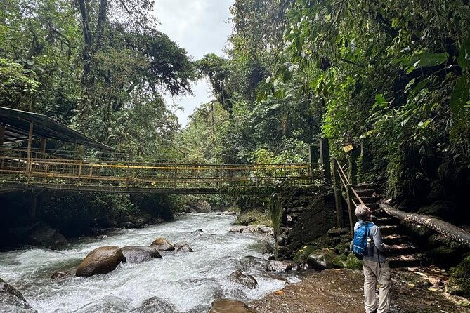 mindo-cloud-forest-private-day-tour-and-chocolate-factory