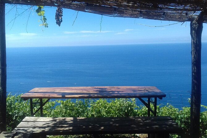 minitrekking-and-visit-of-the-cinque-terre-vineyard