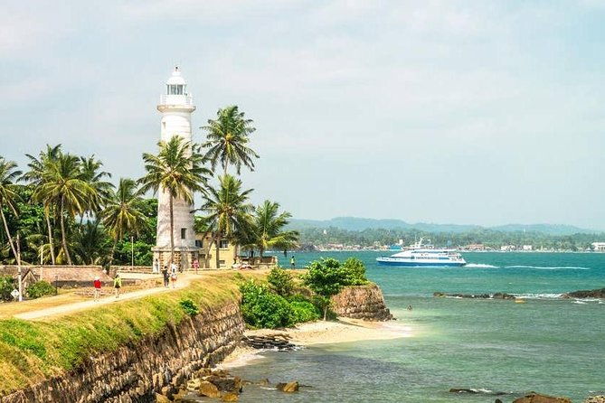 mirissa-whale-watching-stilt-fishing-turtle-tour-from-colombo