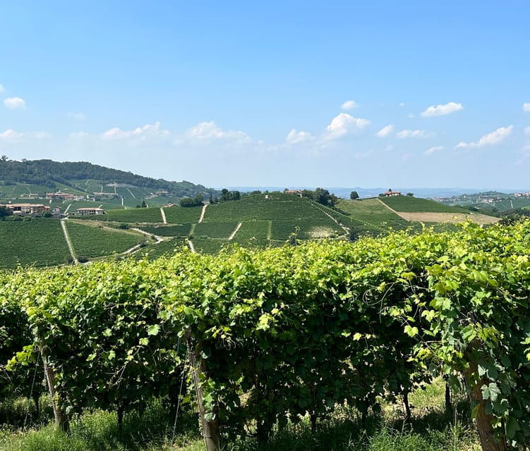 monforte-dalba-barolo-tasting-vineyard-cellar-visit