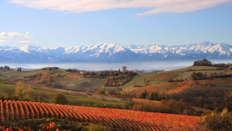 monforte-dalba-immersive-winery-tour