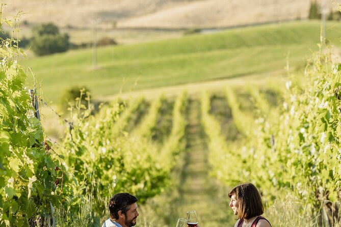 montalcino-exclusive-picnic-in-the-vineyard-with-wine-basket