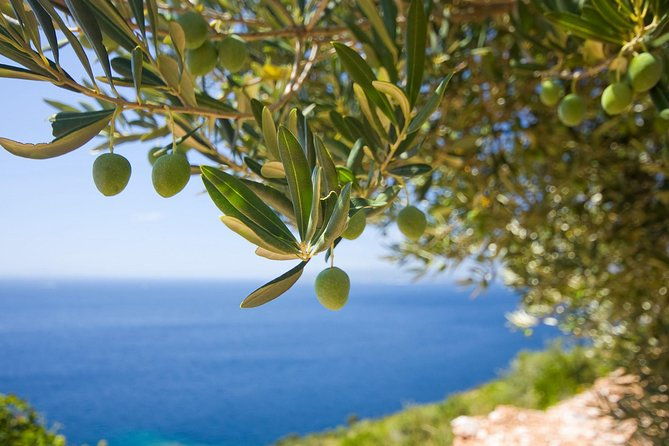 montenegro-private-tour-customized-for-cruise-passengers