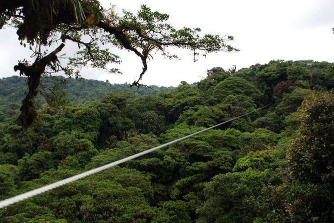 monteverde-cloud-forest-ziplines-canopy-tour