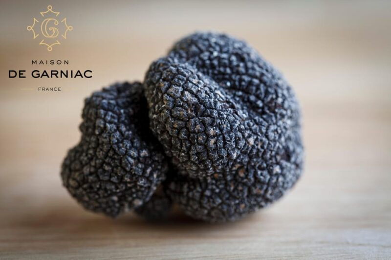 montpellier-full-day-truffles-and-chateauneuf-du-pape-wines