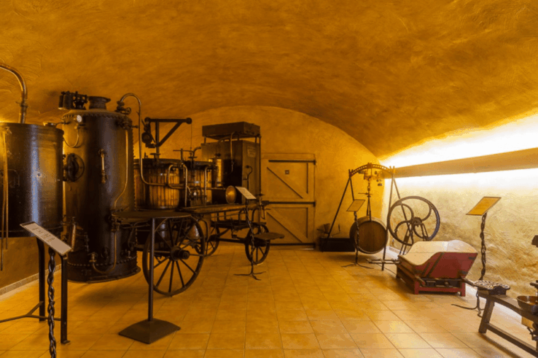 montpellier-full-day-truffles-and-chateauneuf-du-pape-wines