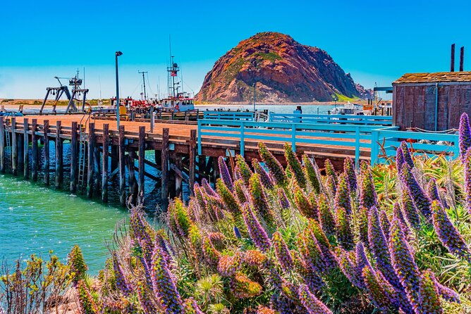 morro-bay-private-2-hour-stroll-savory-delights-tour