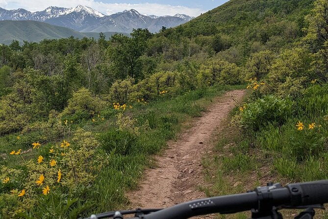 mountain-ebike-tour