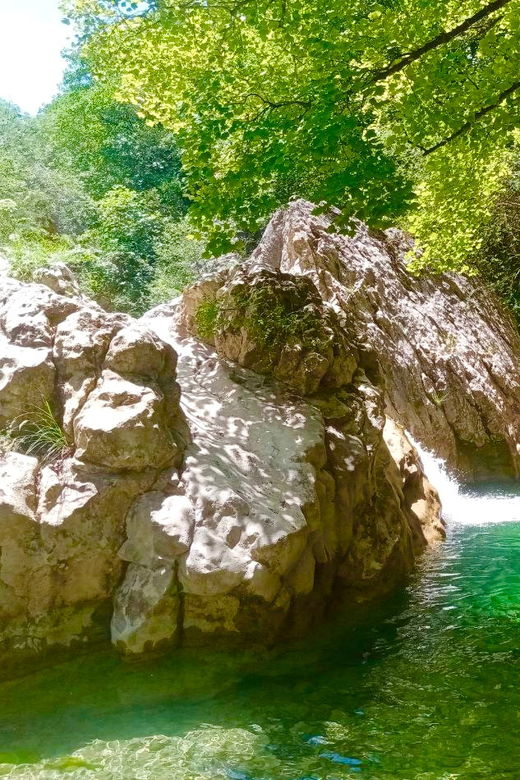mountain-train-experience-hike-mystic-forest-from-nice