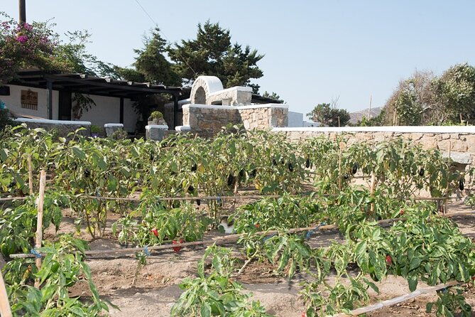 mykonian-farm-entrance-ticket