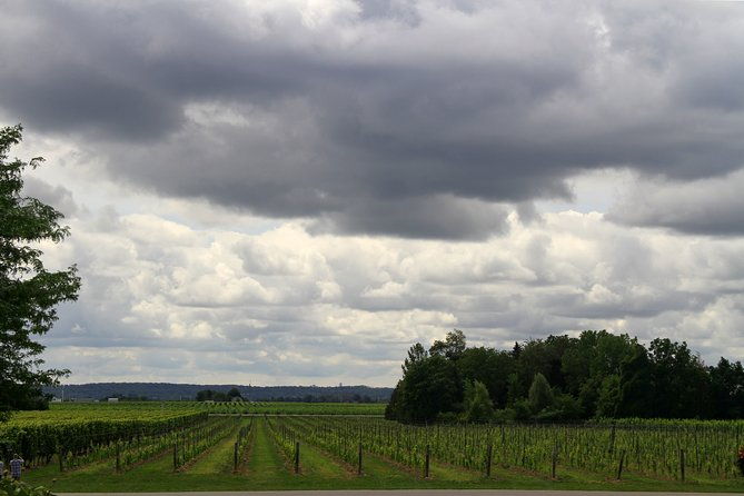napa-sonoma-wine-tour-private-tours-8-to-10-hours-max-14-pax