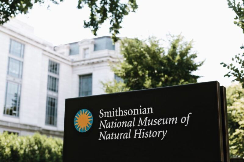 national-museum-of-natural-history-guided-tour