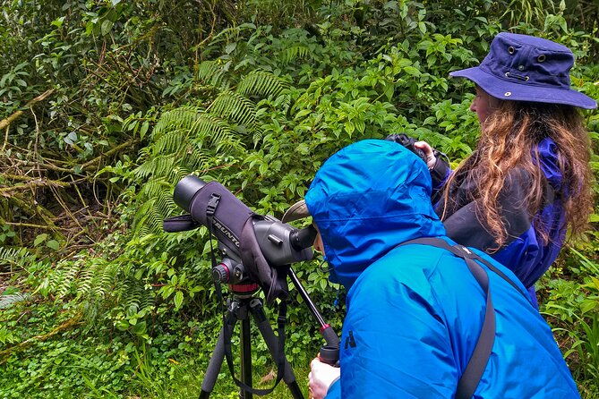 nature-and-birding-experience-in-yanachocha-reserve