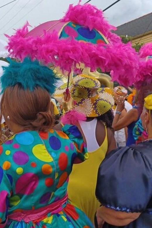 new-orleans-treme-historical-walking-tour-with-museum-visit