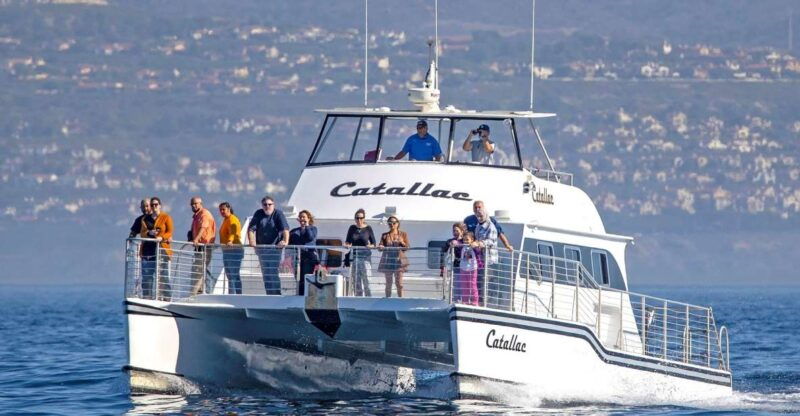 newport-beach-luxury-whale-watching-catamaran-cruise