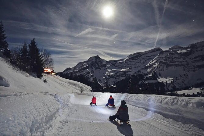 night-sledding-and-fondue-feast-interlaken