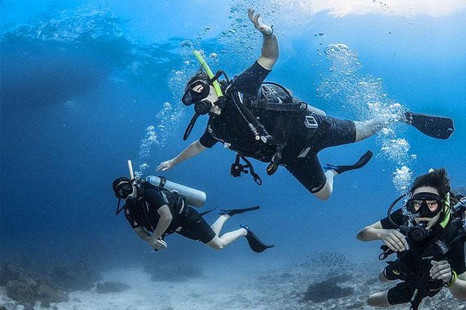 non-certified-diving-experience-plus-transportation