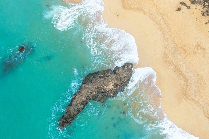 north-shore-of-oahu-private-full-day-tour-with-local-guide