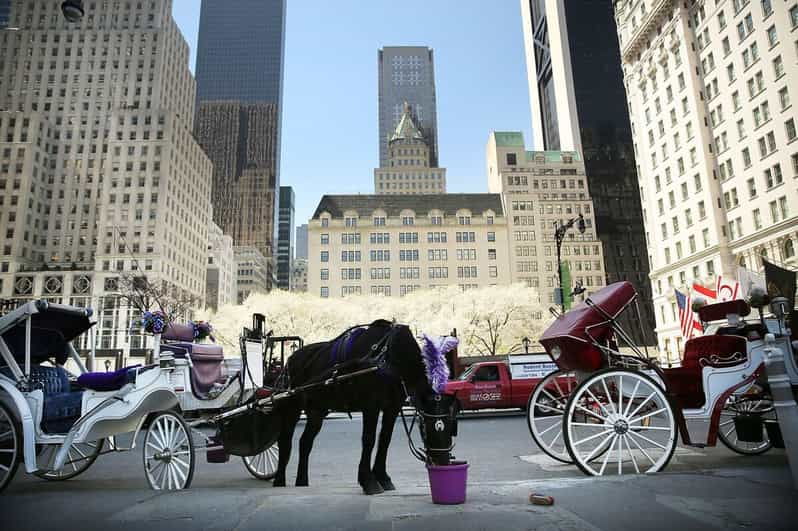 nyc-christmas-lights-carriage-ride
