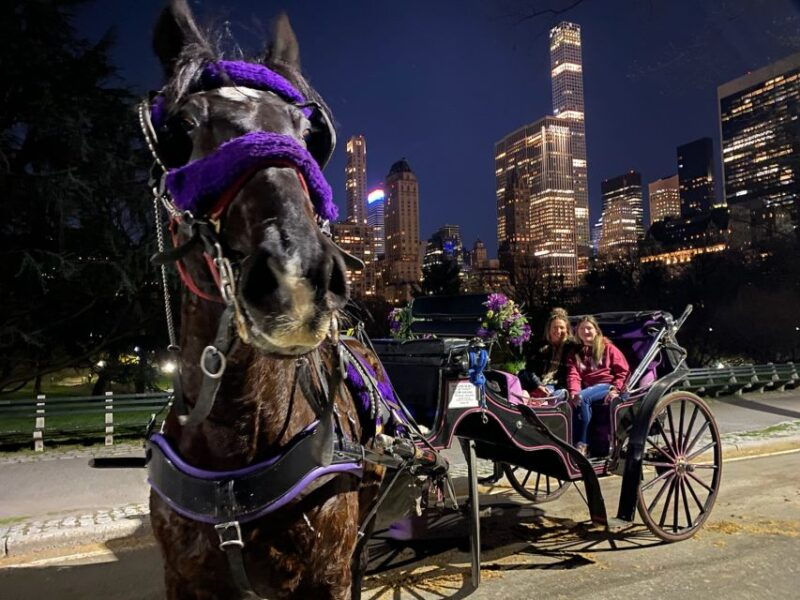 nyc-private-christmas-lights-horse-carriage-ride-2
