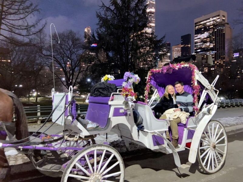 nyc-private-christmas-lights-horse-carriage-ride