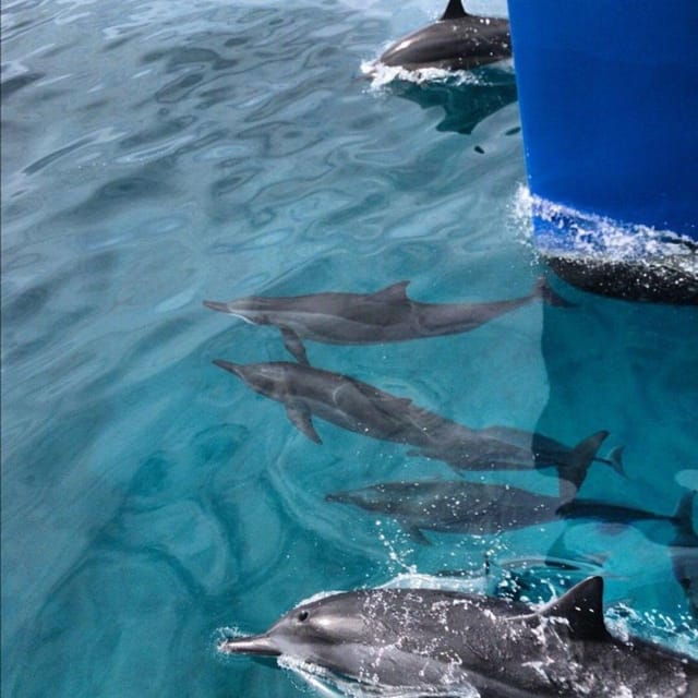 oahu-hawaii-honolulu-sailing-tour