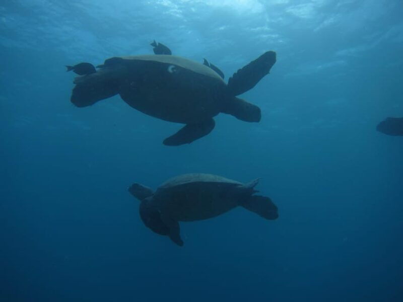 oahu-luxury-day-sailboat-charter