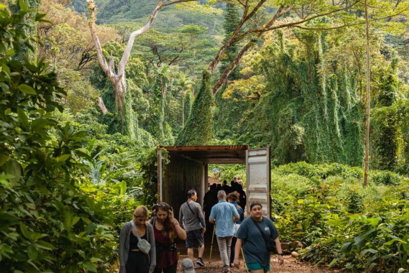 oahu-manoa-falls-waterfall-hike-with-lunch-and-transfers