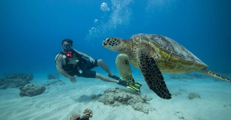 oahu-waikiki-discovery-scuba-diving-for-beginners