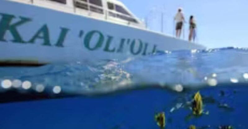 oahu-whales-dolphins-snorkeling-cruise-with-hawaiian-meal