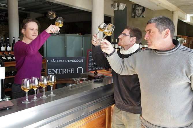 oenological-animation-from-the-vine-to-the-wine