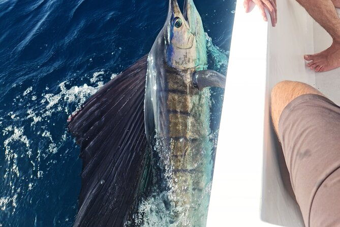 offshore-fishing-trip-deep-sea-fishing