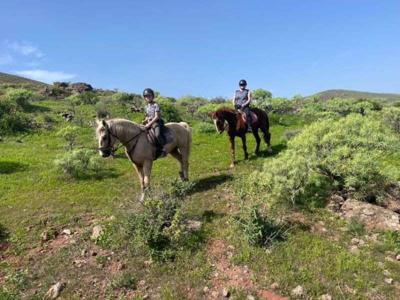 ojos-de-garza-2-hour-las-palmas-mountains-horse-riding-tour