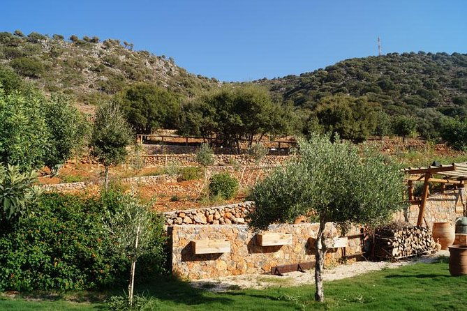olive-mill-festival