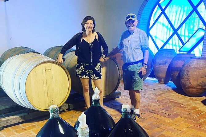 olive-oil-and-winery-tour-from-zaragoza-city