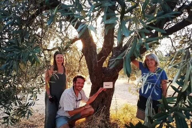 olive-oil-tasting-with-seminar-in-metagitsi-halkidiki