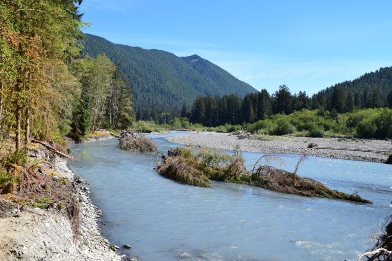 olympic-national-park-hoh-rain-forest-and-rialto-beach-tour