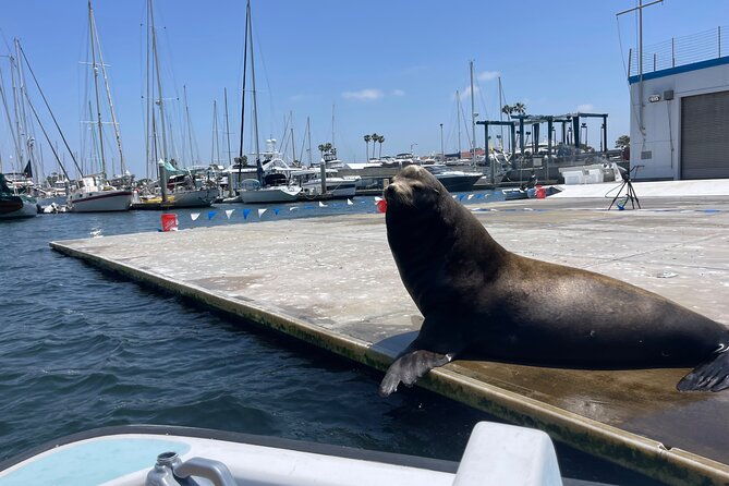 one-hour-cruise-around-marina-del-rey-on-a-classic-sailboat