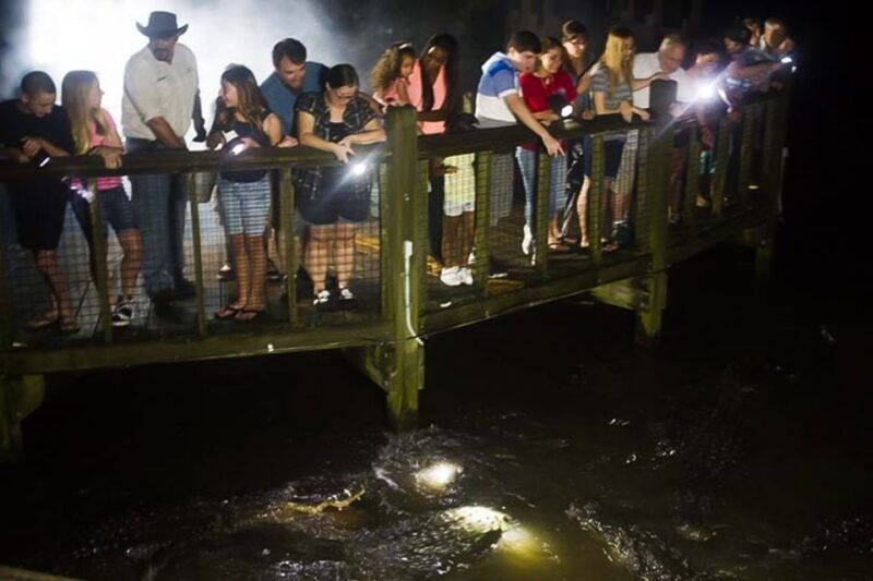 orlando-gatorland-flashlight-tour-at-night