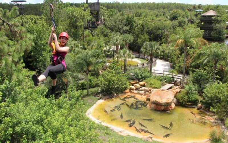orlando-gatorland-zipline-adventure-w-full-day-park-access