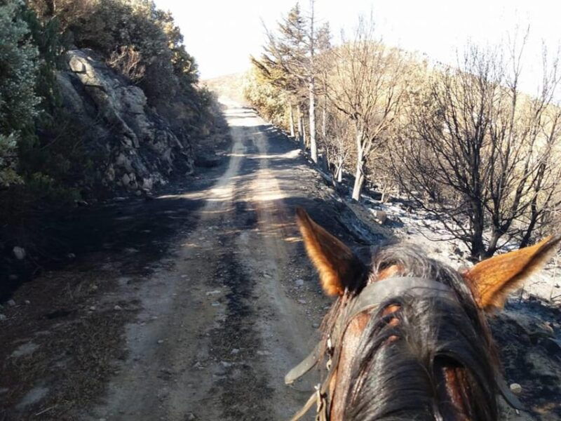orosei-horseback-riding-in-the-irgoli-area
