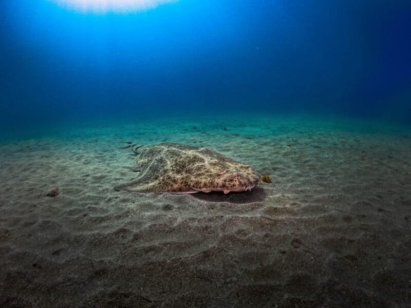 padi-advanced-open-water-diver