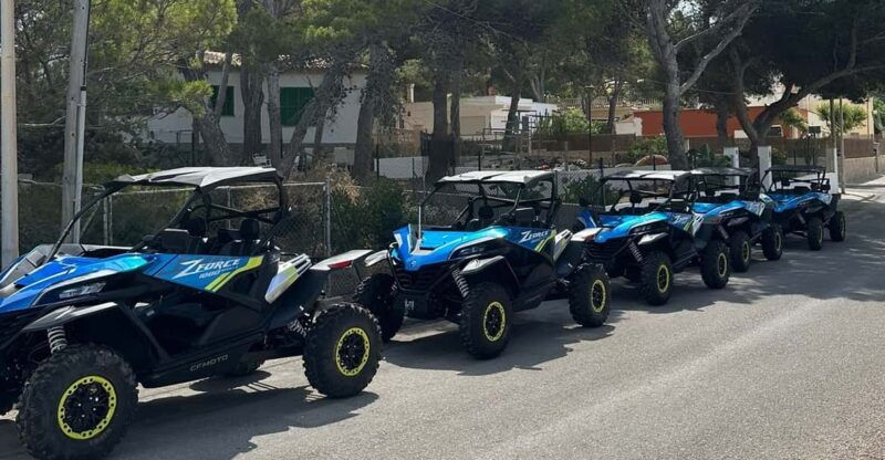 paguera-malgrats-island-and-sant-elm-buggy-tour