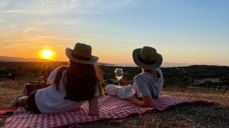 palau-picnic-in-a-gallura-estate