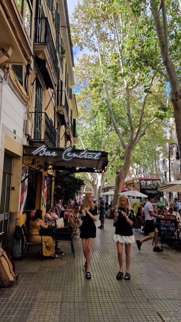 palma-de-mallorca-soller-by-train-city-tour-from-palma