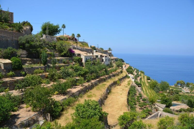 palma-de-mallorca-son-juliana-wine-experience-and-tasting